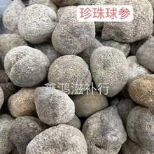 球参海参干货深海淡干珍珠球酒店食用材料