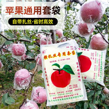 苹果套袋塑料水果防水防雨防鸟防虫袋套果袋果树农用袋带扎丝