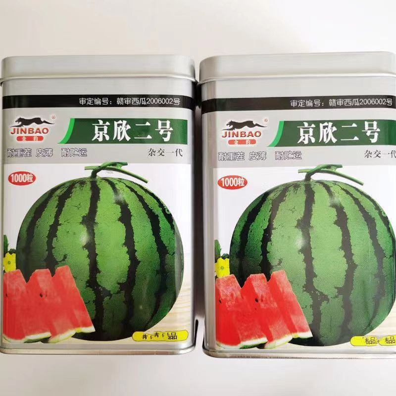 京欣一号二号西瓜种子高产早熟籽少皮薄红瓤耐高温耐重茬西瓜种籽