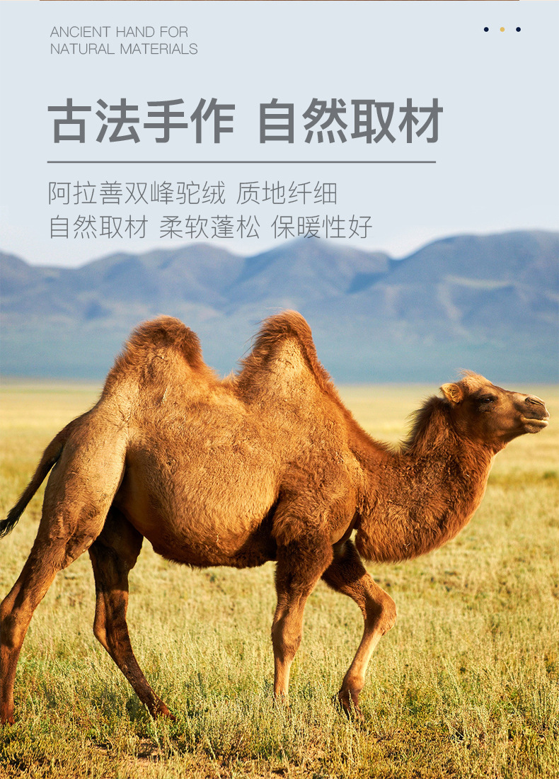 02驼绒-第二版_03.jpg