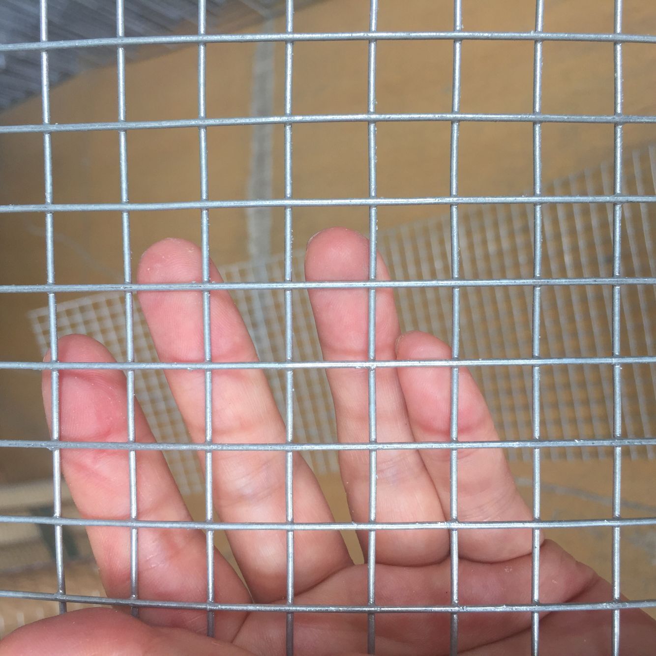 东莞惠州热镀锌铁丝网铁网格铁丝网围栏防护网镀锌电焊网钢丝网