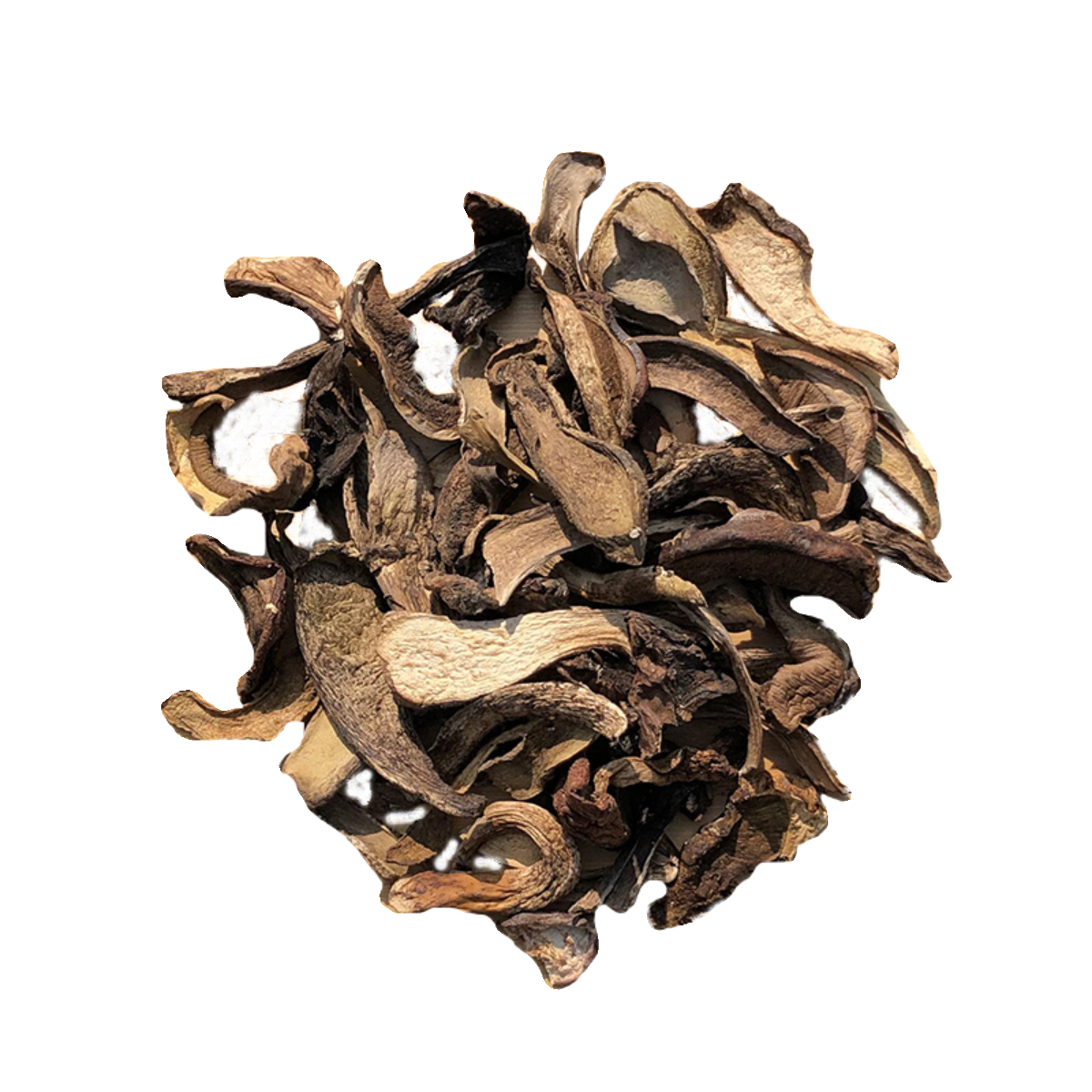 藏地高原野生黑牛肝菌干货美味白牛肝菌大脚菇高山一二级蘑菇特产