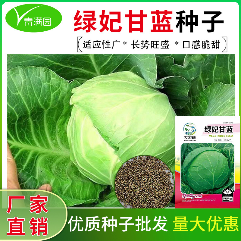 甘蓝种子绿宝石结球甘蓝卷心菜包心菜籽大头菜子绿妃甘蓝蔬菜种