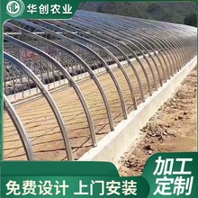 花卉蔬菜大棚骨架  连栋温室大棚骨架   大棚建造养牛大棚养