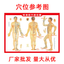 人体艾灸穴位图艾灸图人体经络穴位图艾灸疗法图拔罐刮痧图按摩图