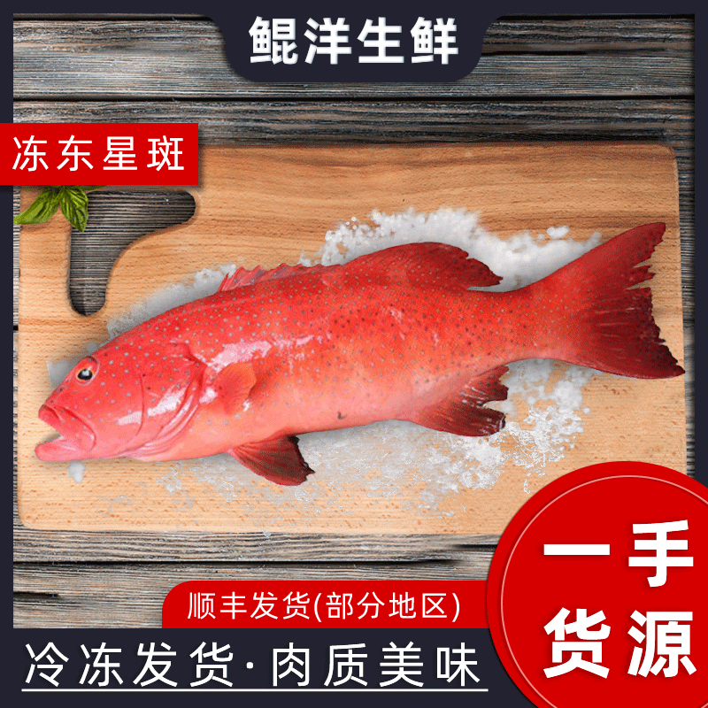 深海东星斑海鲜水产鲜活冷冻东星石斑鱼红斑红星斑燕尾斑顺丰快递