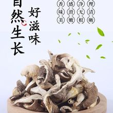 晒干平菇片干货农家特产真姬菇凤尾菇煮汤材料干菜批发平菇蘑菇