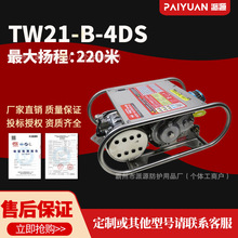 TW21-B-4DS背负式森林灭火泵卧式便携消防泵双级水泵高压抽水泵