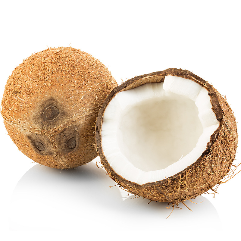 海南椰子特产水果 新鲜老椰子毛椰 去皮牛奶老椰子水鸡汤食材批发