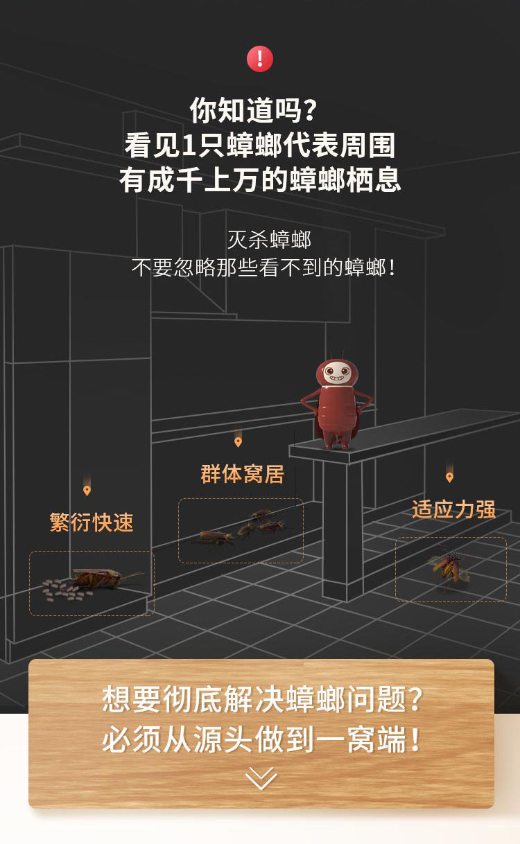 黑旋风蟑螂药家用强效粉除杀蟑蟑螂屋杀虫剂全窝端贴捕捉器灭蟑螂
