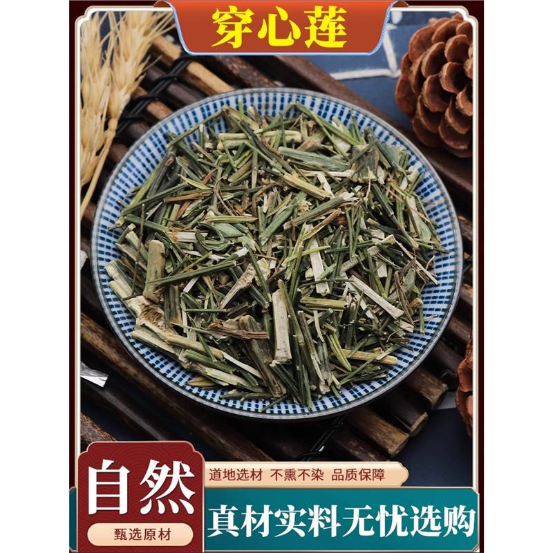 穿心莲中药材榄核莲苦胆草四方莲穿心连苦草一见喜无硫天然500g克
