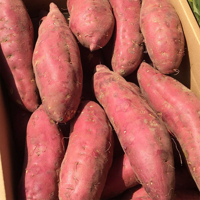 海南红薯批发10斤桥头富硒地瓜新鲜红蜜薯沙地板栗薯番薯1斤山芋