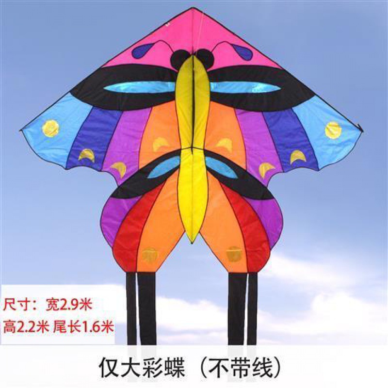 Big Kite Wholesale Weifang New Large Colorful Butterfly Kite High-End Adult Easy Flying Good Flying Large Kite Hot