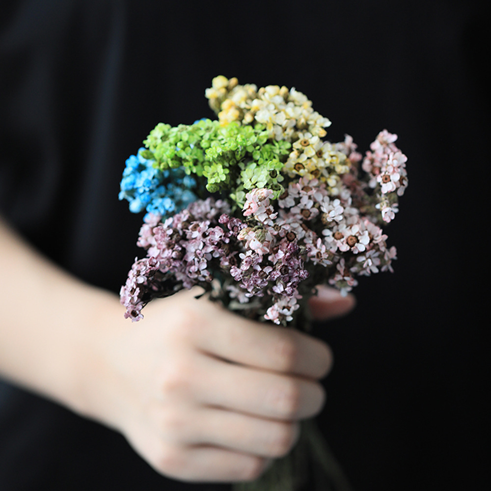 法国白梅相思梅永生花配饰拍照道具新娘头饰广州永生花批发