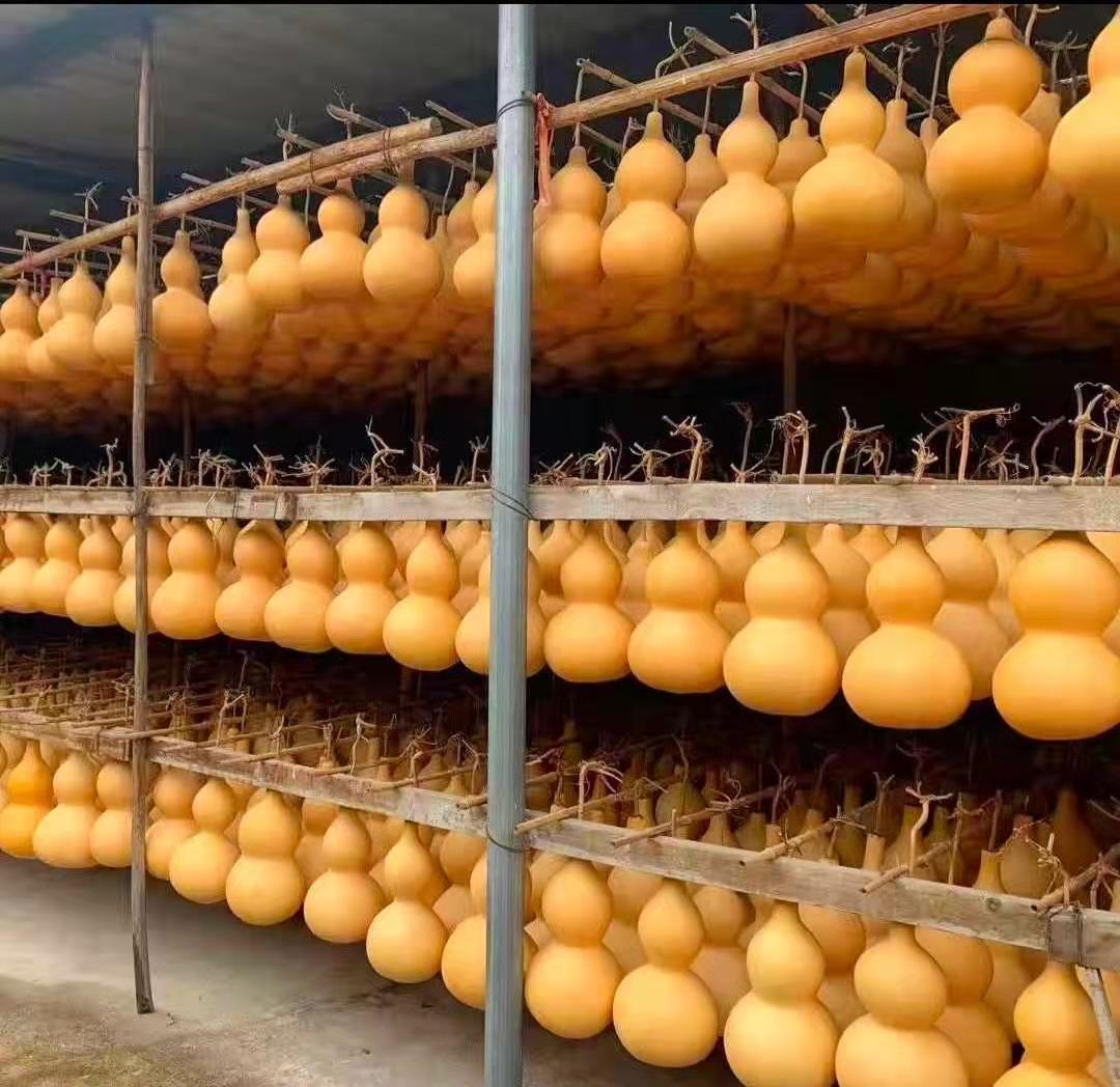 厂家供应大葫芦 中号葫芦 素亚腰大葫芦 摆件文玩葫芦 葫芦