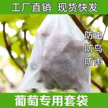 无纺布葡萄套袋露天水果专用袋瓜果防虫防鸟枇杷透气防雨保护套袋