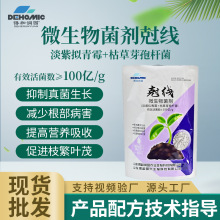 外贸工厂批发微生物菌剂有机肥抗逆丰果壮根土豆肥全水溶现货批发