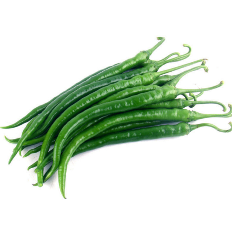 带箱10斤包邮新鲜辣椒线椒蔬菜批发青线椒尖椒青椒二荆条基地直发