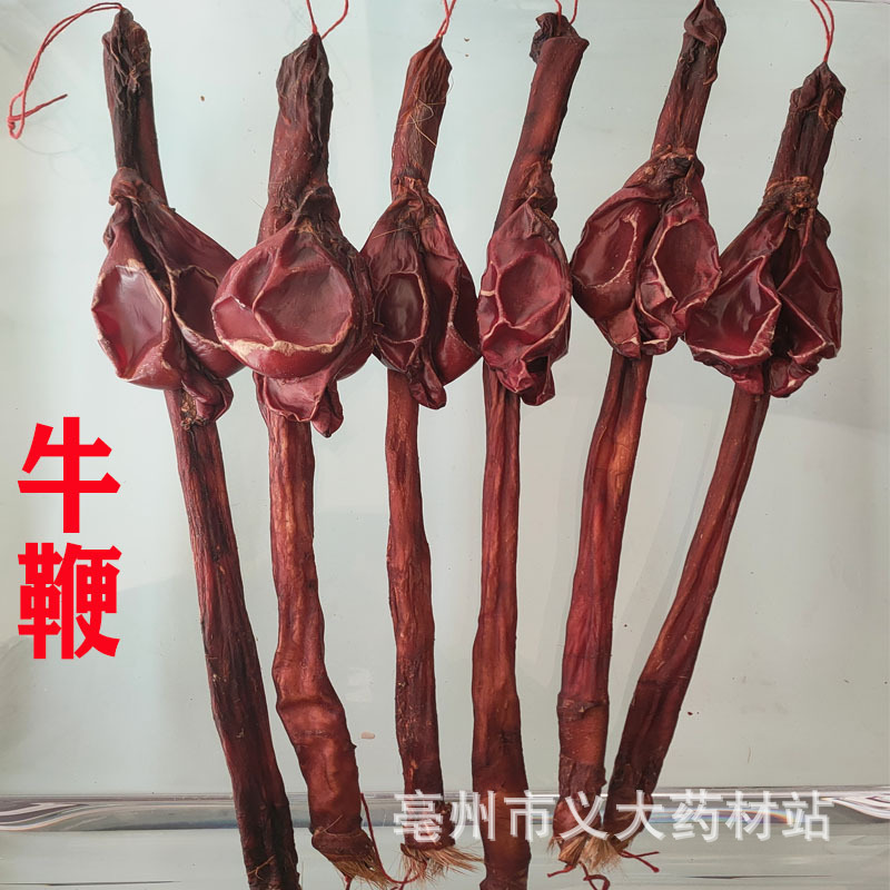 批发男士泡酒鞭 鹿鞭 鹿鞭片 鹿筋 鹿肾 牛鞭 牛筋狗鞭蛇鞭猪鞭