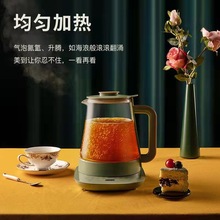 壶家用全自动玻璃水壶养身煮茶办公室小型2021新款