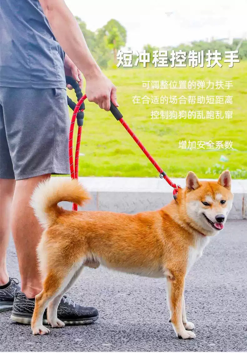 p绳宠物用品狗狗牵引绳尼龙防爆冲狗链子反光条不勒手狗狗牵引带