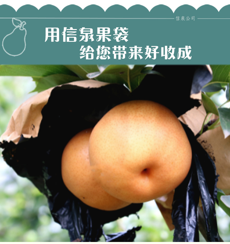 信泉果袋梨专用袋晚秋梨套袋双层纸袋防水防虫放鸟秋月梨水果套袋