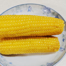 超甜水果玉米种子 四季播蔬菜 冰糖牛奶白粘黑糯五彩草莓籽高产孑