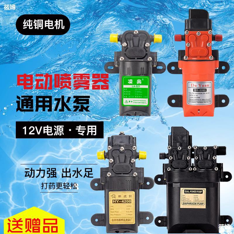 12v 伏农用电动喷雾器水泵电机浇花果树苗圃打药高压隔膜自吸水泵