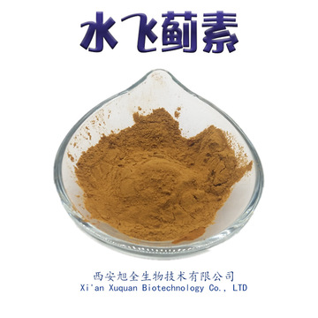旭全生物水飞蓟素80% 水飞蓟提取物 量大从优 另有水飞蓟宾 1kg