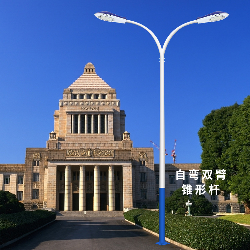 户外双头路灯杆子新农村led路灯6米8米自弯臂广场高杆高低