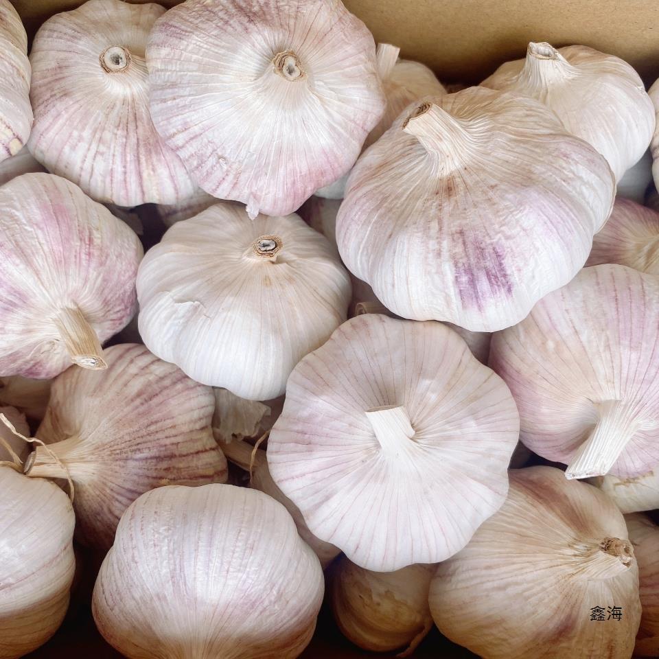 24年新干蒜5斤大蒜头农家新大蒜头干蒜5斤紫白皮大蒜当季蔬菜整箱