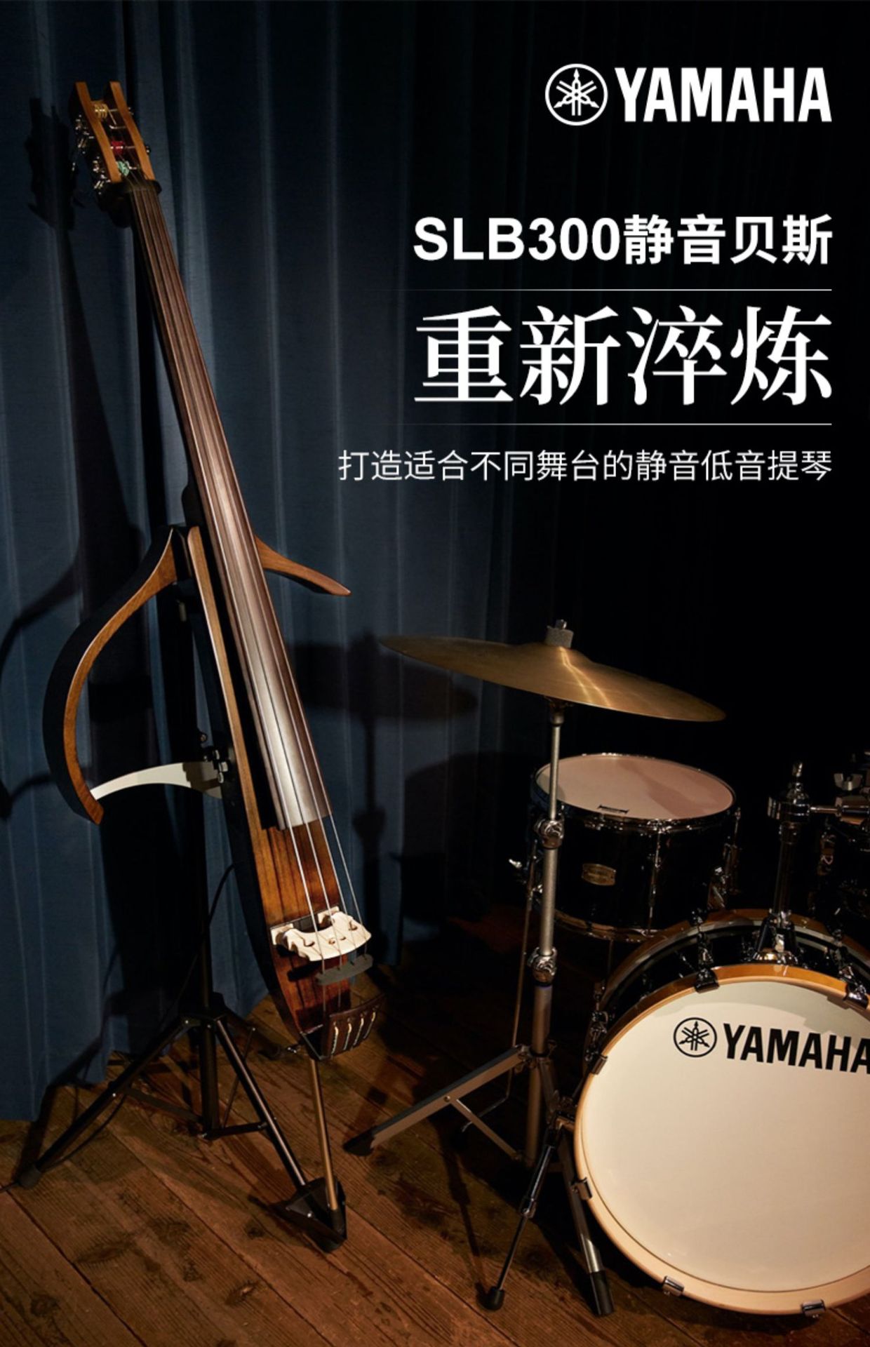 电子低音倍大提琴