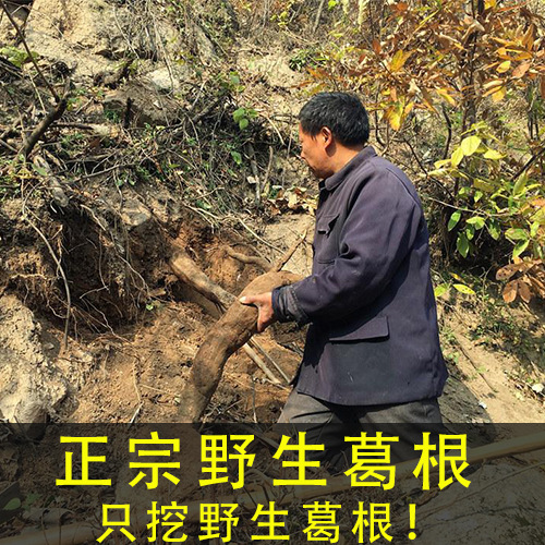 葛根粉野生天然葛粉500g纯天然葛根云南柴葛根代餐粉正品假一赔十
