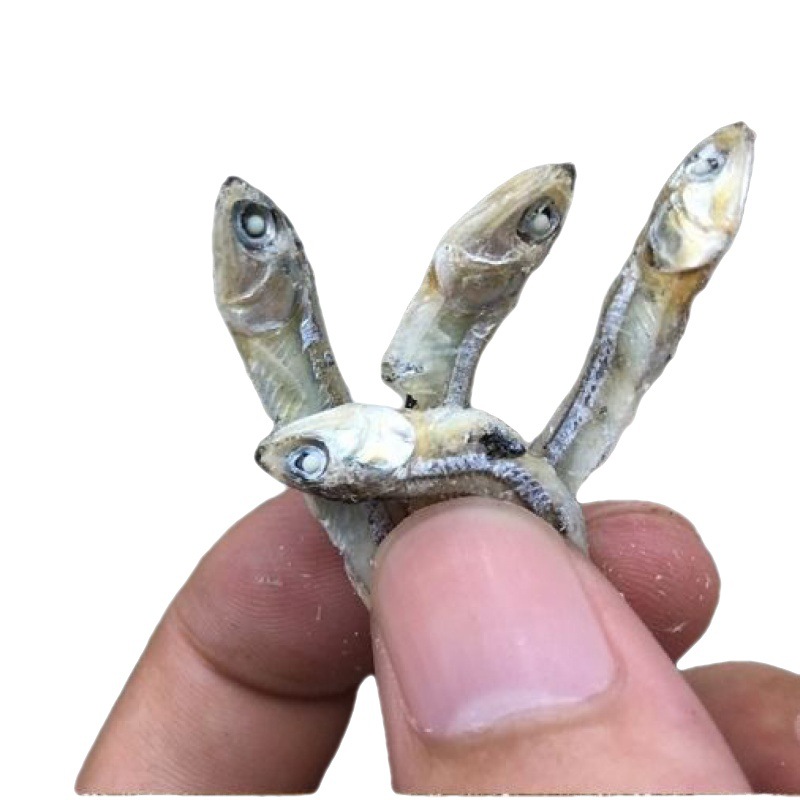 批发潮汕南澳特产海水自晒饶鱼仔干金线海燕鱼干小鱼干干货海鲜厂
