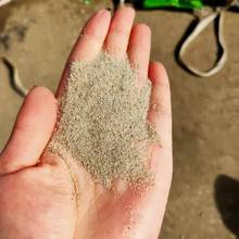 养生针灸沙儿童娱乐圆粒海沙 白沙子人造沙滩沙跳远沙坑沙子海沙