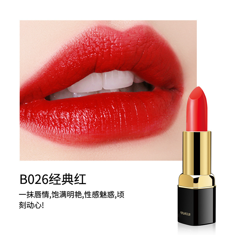 Hchana Silk Soft Lipstick Moisturizing and Nourishing Lipstick Discoloration Resistant Natural Color Ze Easy to Color No Stain on Cup Lipstick