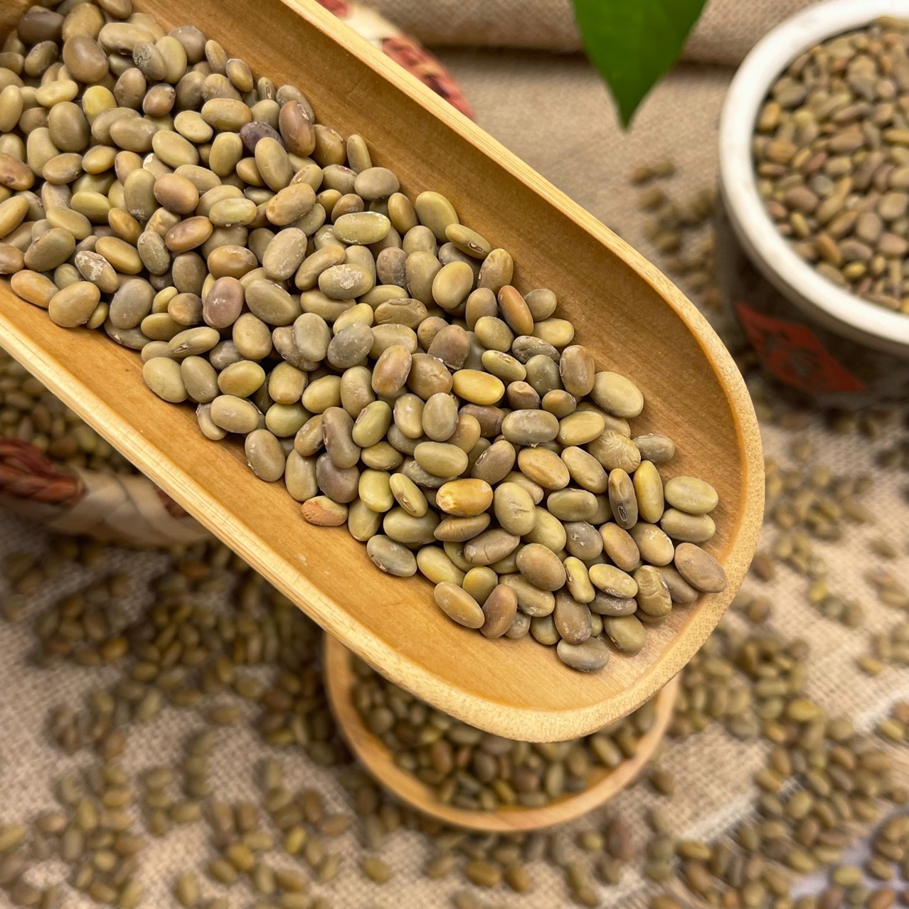 批发 茶豆种子芽苗菜种子水培蔬菜 种植茶豆芽 豆苗用可代替黑豆