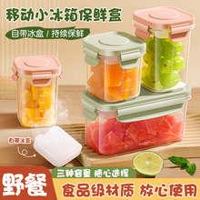 食品级移动保鲜冰盒水果便当盒保鲜盒学生宝宝辅食盒冰格自带冰盒
