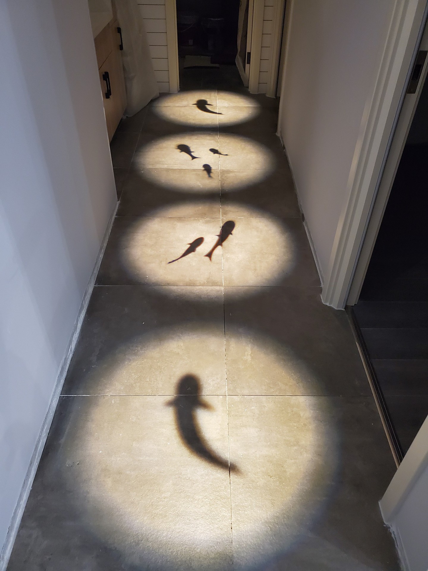 嵌入式射灯玄关创意背景墙led天花灯投影鱼图案家用走廊过道筒灯