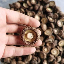 香菇干干货西峡冬菇蘑菇肉厚无根净重500g100g批发厂亚马逊代发