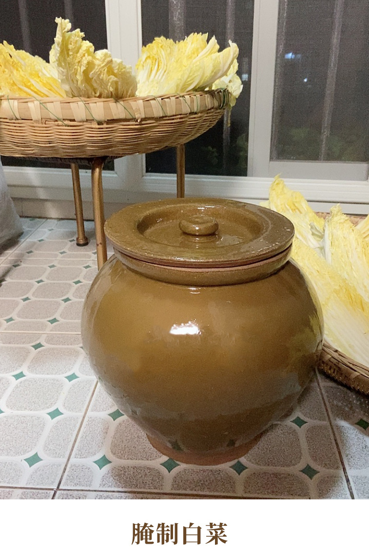 猪油罐装罐子带盖陶瓷老式厨房家用放油盐坛子大号容器