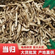 当归 当归片 当归干散货批发甘肃岷县当归各种规格批发当归片代发