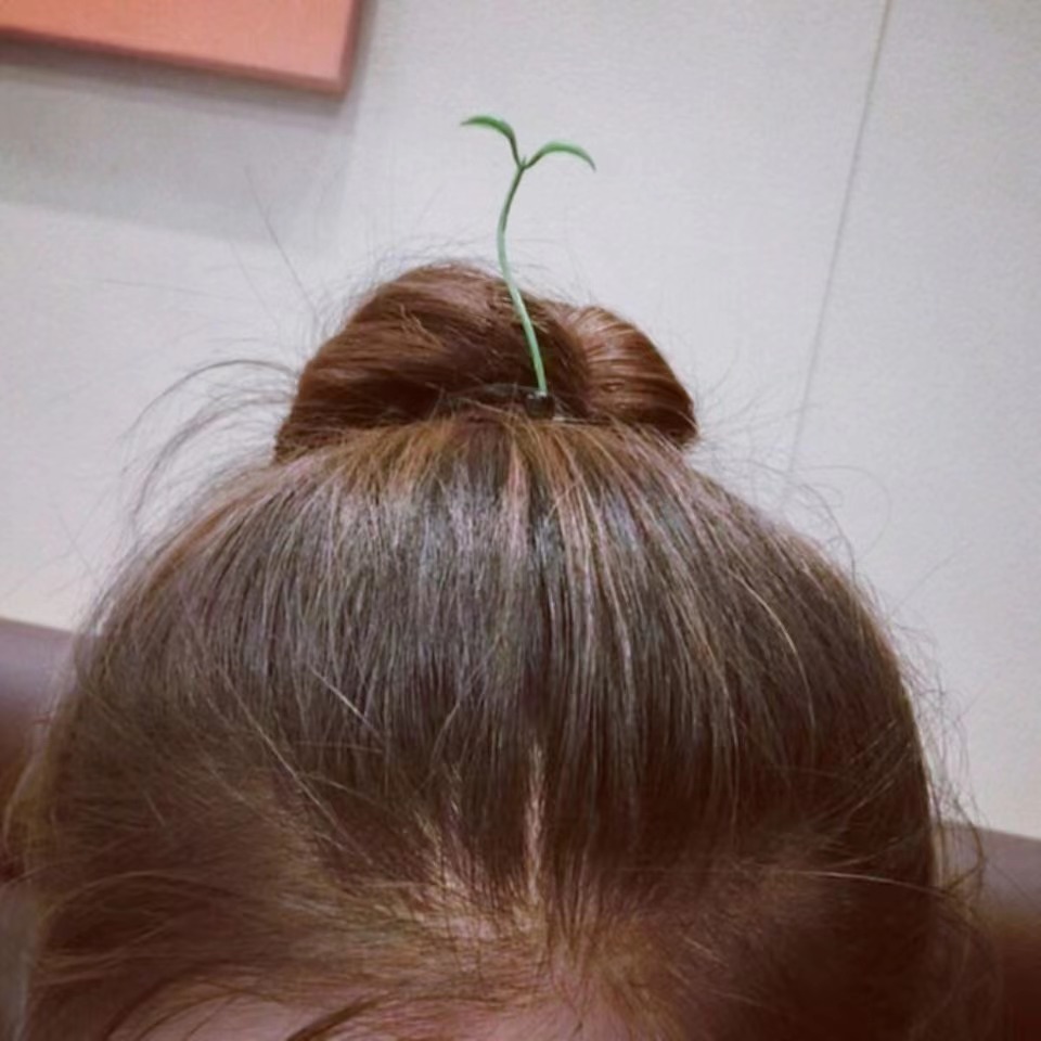 头上长草发卡头上的装饰品可爱头顶小豆芽夹子卖萌神器搞怪发夹