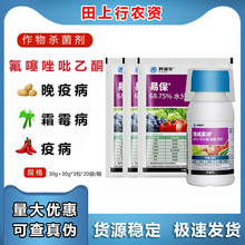 杜邦 增威赢绿+易保 番茄黄瓜霜霉病晚疫病杀菌剂 30ml+90g全码