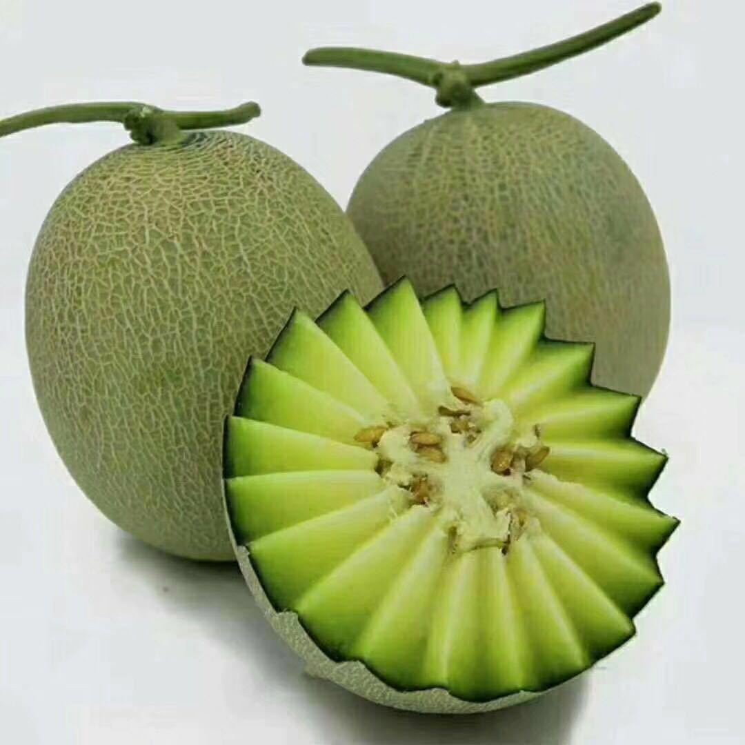 海南网纹瓜玫珑瓜新鲜采摘玲珑网纹瓜现摘小玫珑网纹瓜一件代发