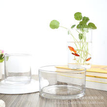 简约水培圆形玻璃花瓶郁金香绿萝水养植物鱼缸透明容器桌面微景观