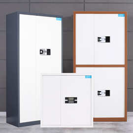 指纹锁密码文件柜办公柜矮柜储物柜铁皮柜办公室档案柜财务保密柜