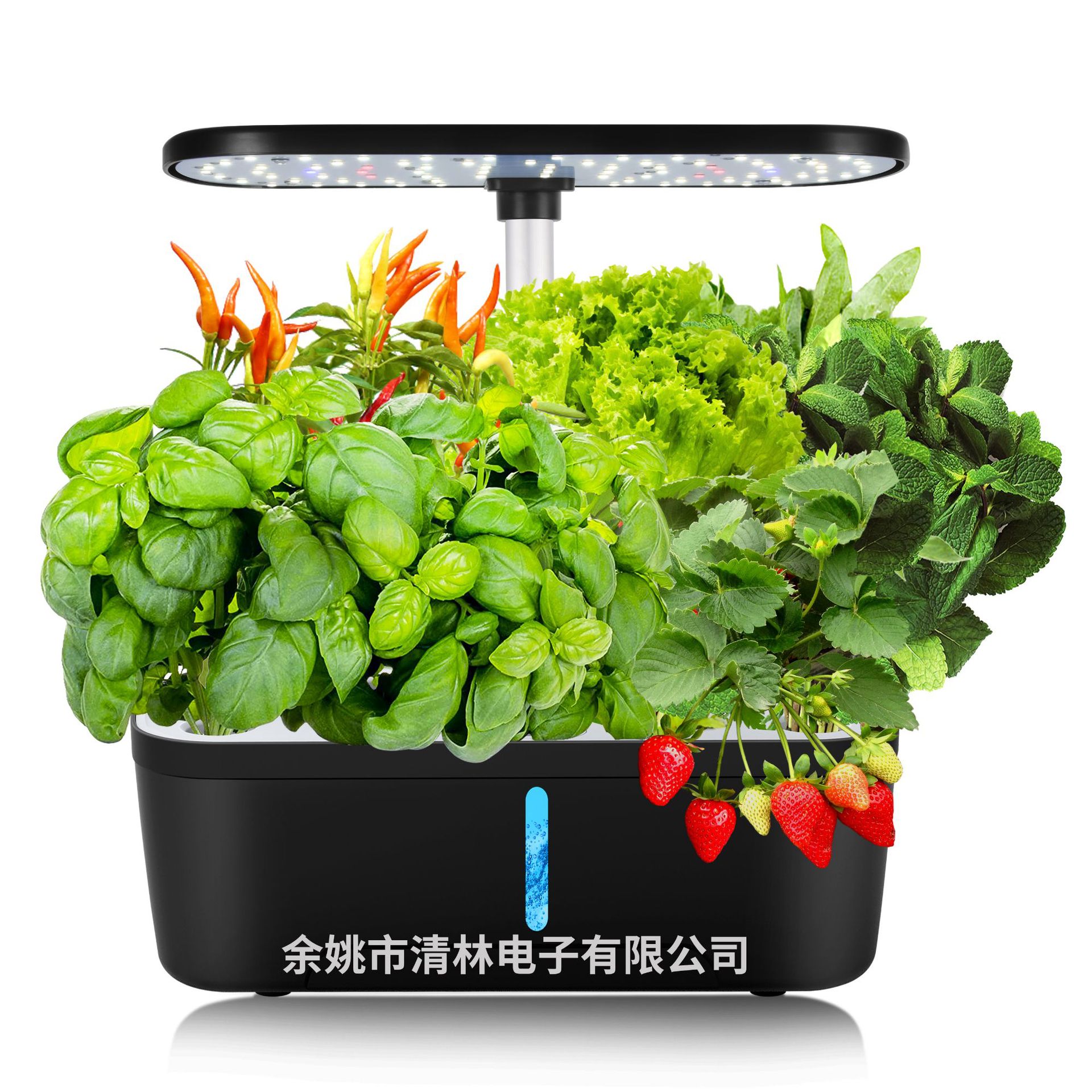 亚马逊6孔家用智能种植机 无土栽培设备 蔬菜植物生长水培种植机