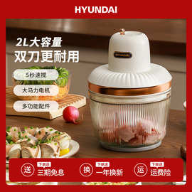 HYUNDAI绞肉机家用电动小型全自动搅拌料理饺碎肉大容量厂家批发