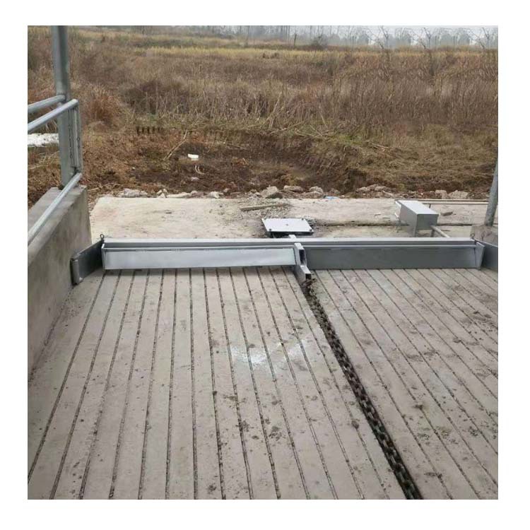 牛舍刮粪机 自动牛场一拖二刮粪机设备安装 定时清理牛舍刮粪机厂